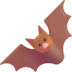 :bat: