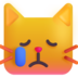 :crying_cat: