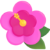 :hibiscus: