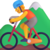 :person_mountain_biking: