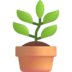 :potted_plant: