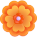 :rosette: