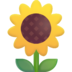 :sunflower: