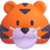 :tiger_face: