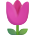 :tulip: