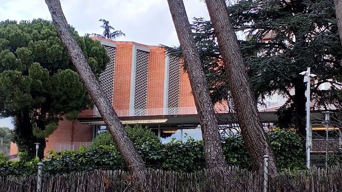 Colegio Mayor Aquinas (4)_opt