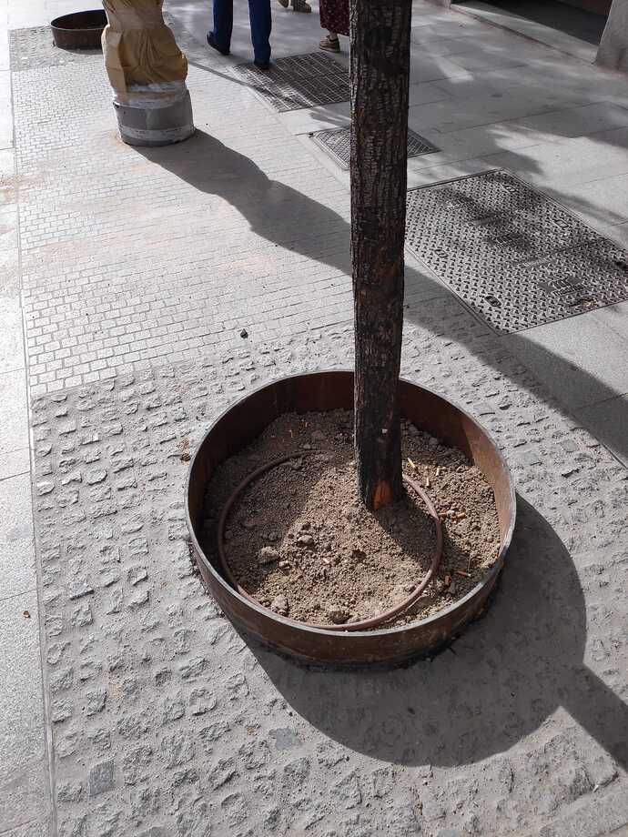 Calle Arenal