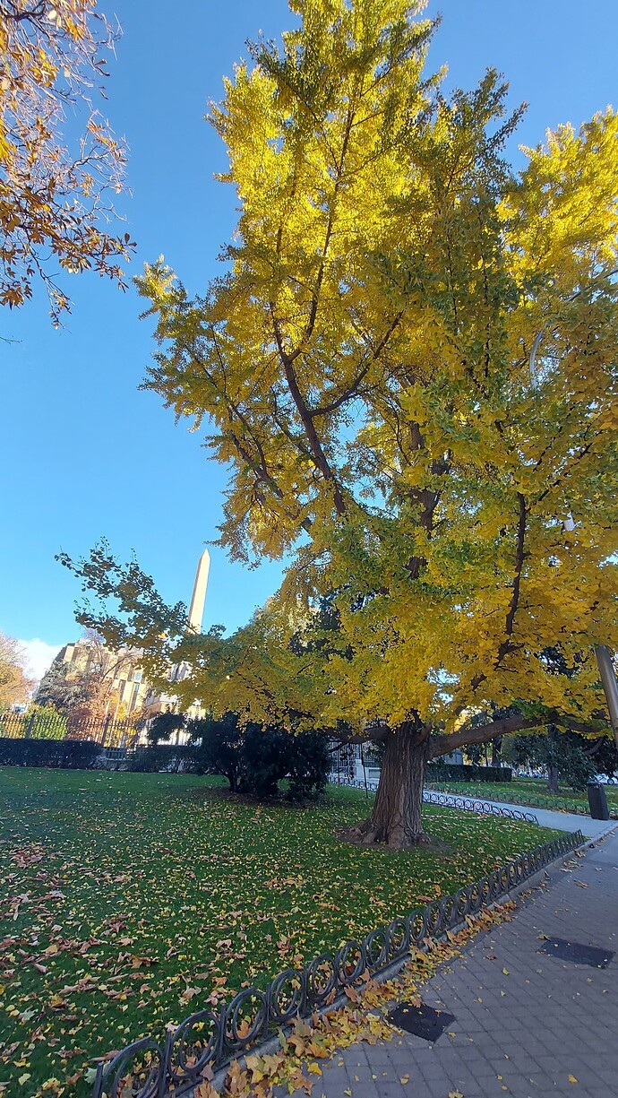 20211128_105011