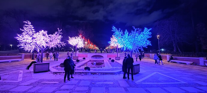 IMG_20211209_185005