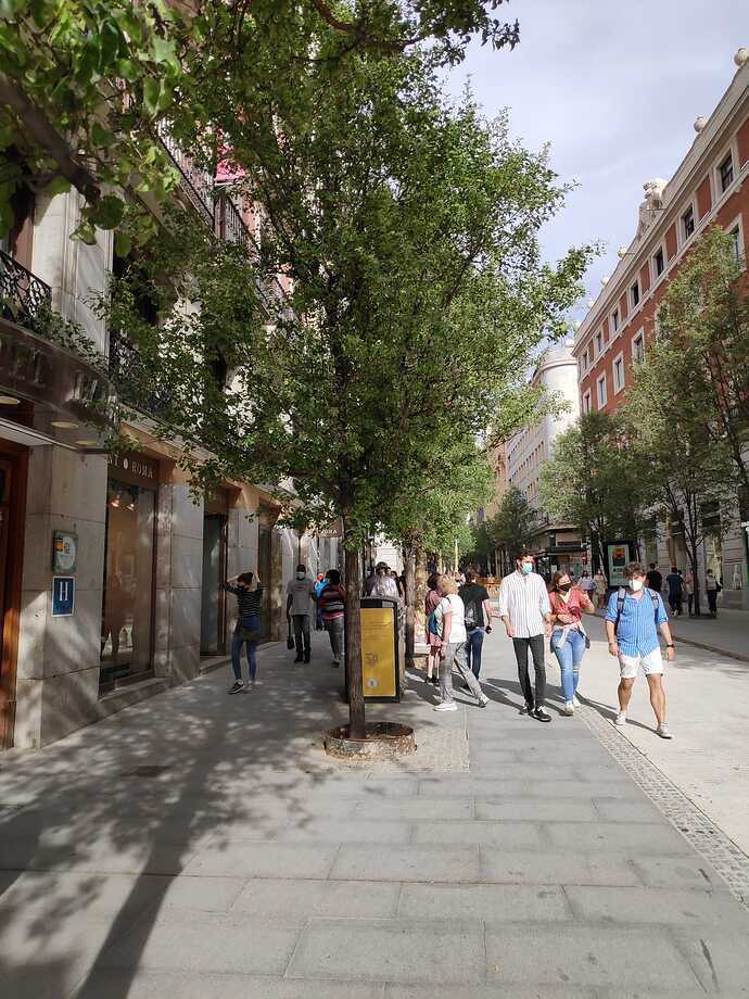 Calle Arenal