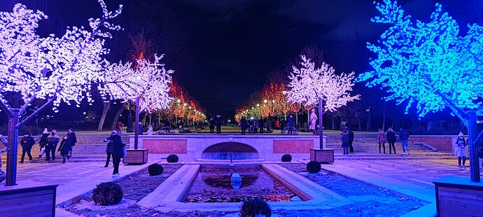 IMG_20211209_185048