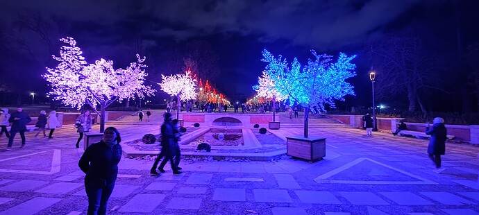 IMG_20211209_184945