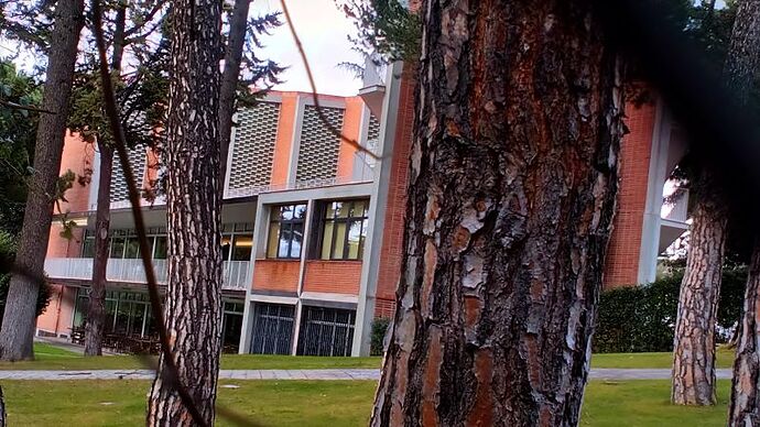 Colegio Mayor Aquinas (2)_opt