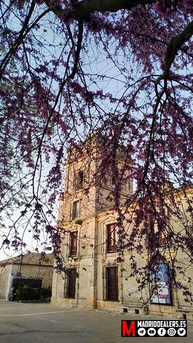 IMG_20210417_205327