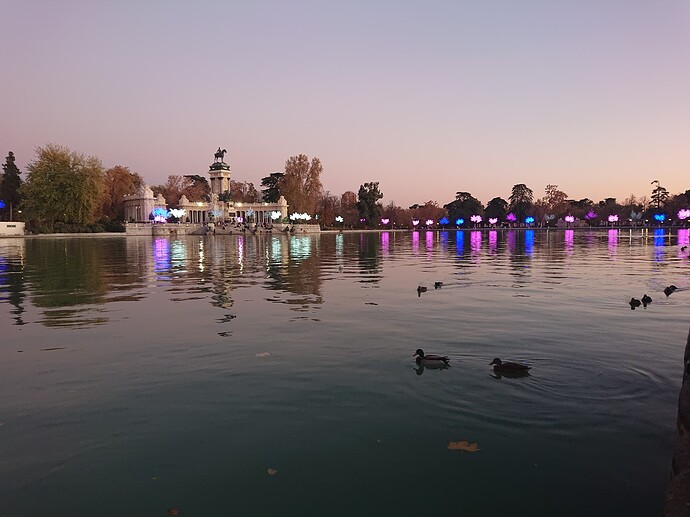 DSC_2470