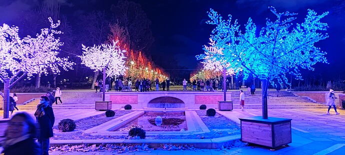 IMG_20211209_184934