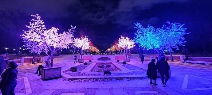IMG_20211209_185027