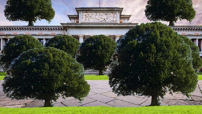 Museo