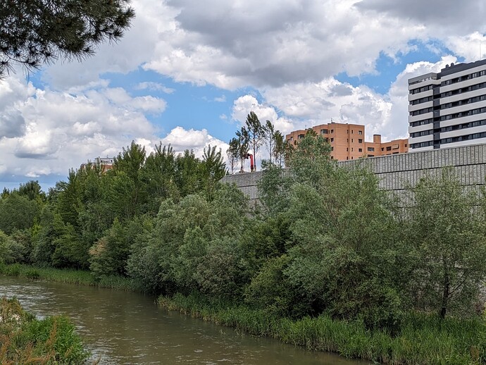 PXL_20240429_122808565