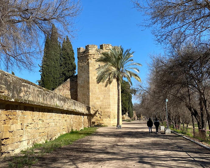 WhatsApp Image 2026-02-10 at 09.33.53