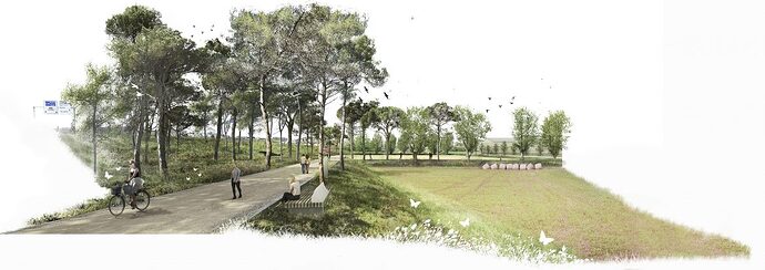 MANANTIAL-SUR__Bosque-Metropolitano-a-traves-de-los-campo-agricola_aldayjover-1170x414