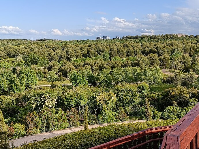 IMG20250509192207