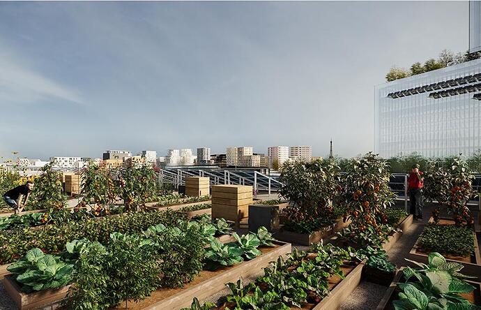 Agriculture urbaine_03_actu site