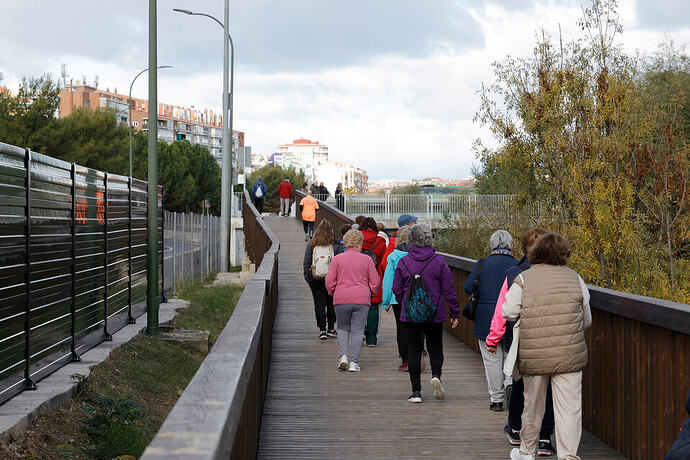 Ciudadanía utilizando pasarela