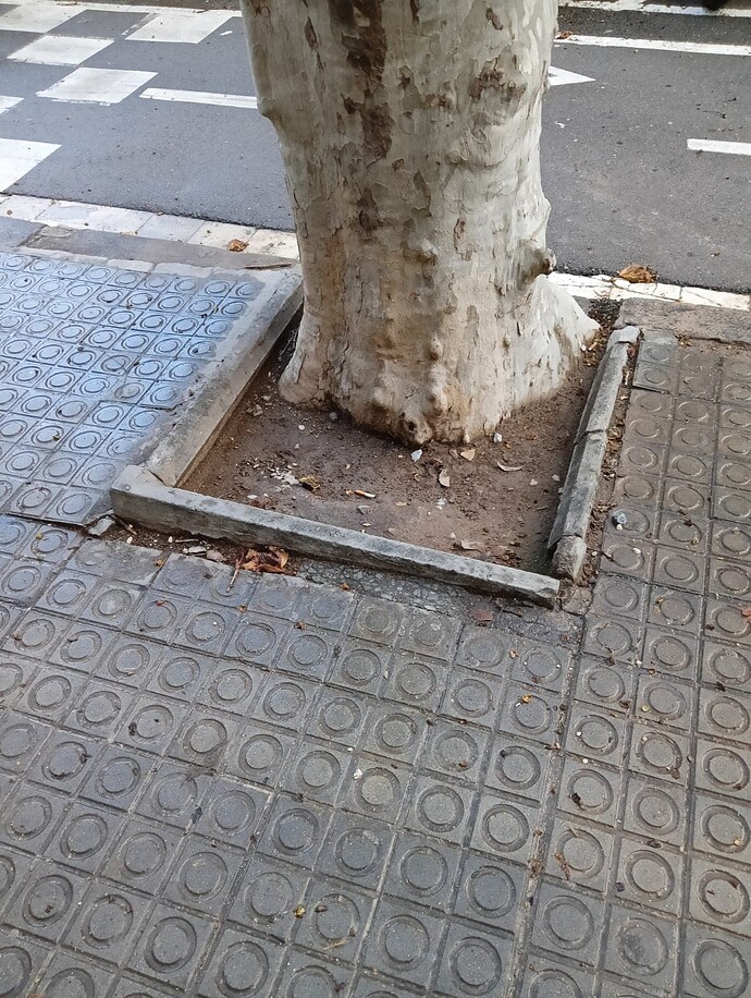 Foto (6)
