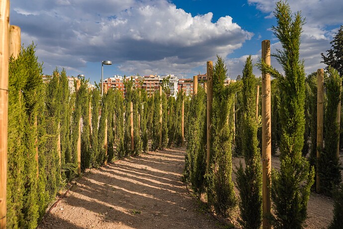 parque_de_santander_11