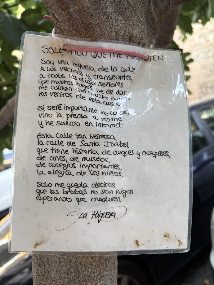 higuera 2