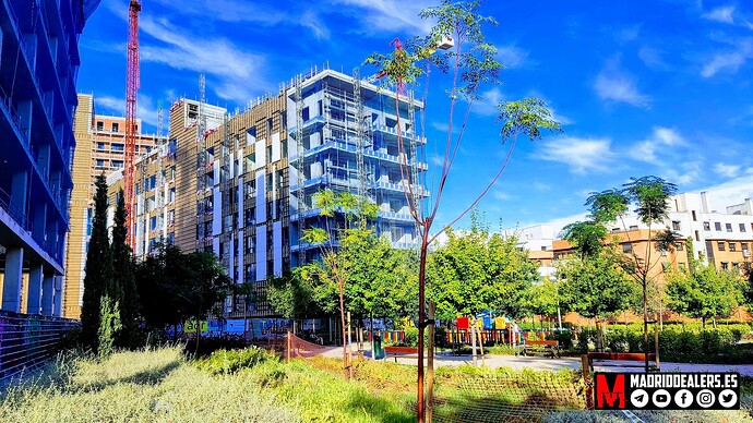 IMG_20220913_183810-EFFECTS