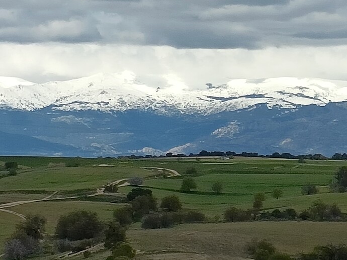 IMG20250325133656