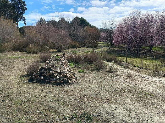 IMG_20250314_112226592_HDR