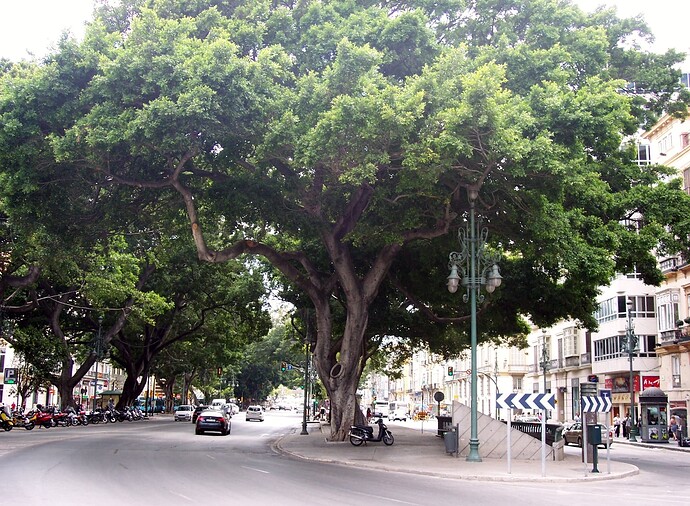 Alameda_principal_Malaga