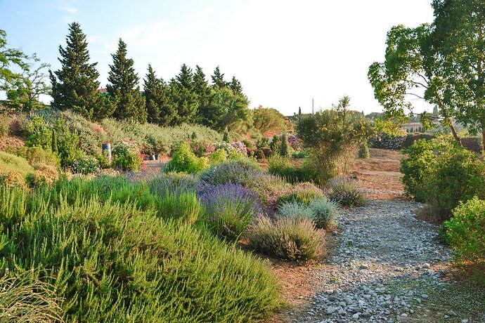 Botanical-Dry-Garden2Bjardin2Bseco2Bsecano2BToscana2B1000px2B252892529