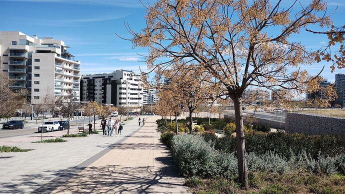 IMG_20230319_135514872