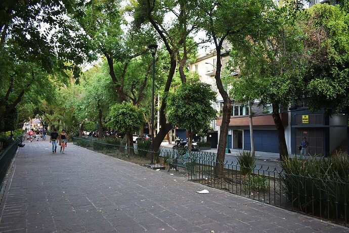 NIK_2167 (2)