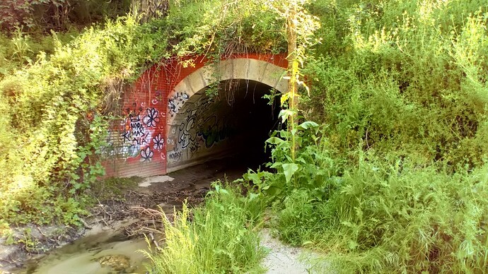 1861, Puente Bajo, Cia de los caminos del Hierro del Norte de España (2)_Easy-Resize.com
