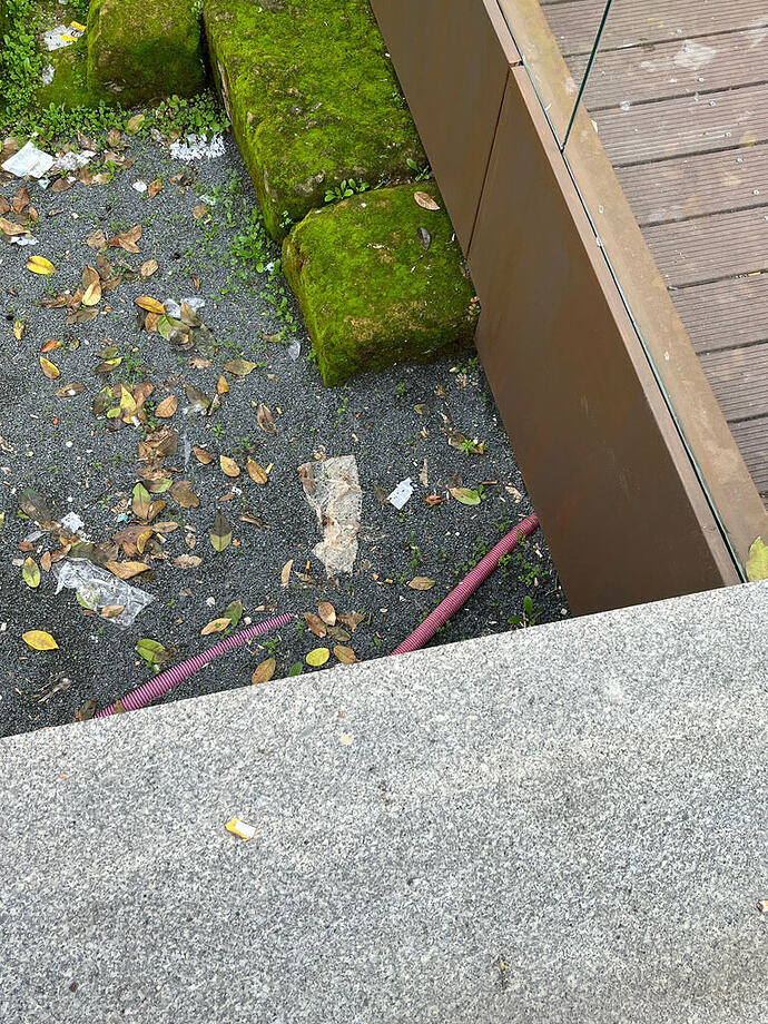 WhatsApp Image 2025-12-26 at 20.20.33 (1)