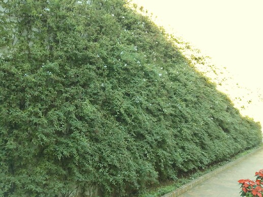 IMG_20230104_162907_203