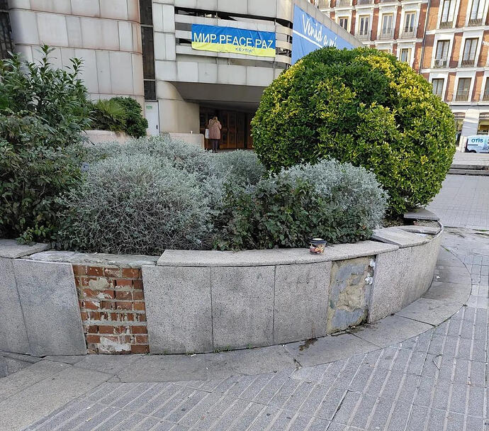 IMG_20251118_091631_766