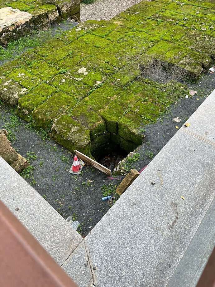 WhatsApp Image 2025-12-26 at 20.20.32 (2)