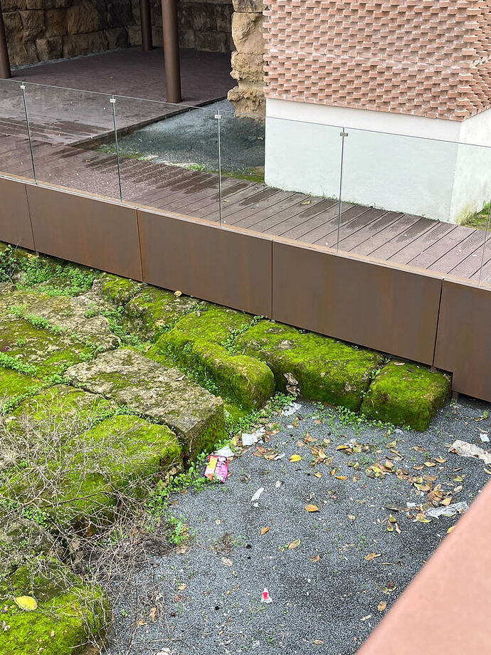 WhatsApp Image 2025-12-26 at 20.20.32 (3)