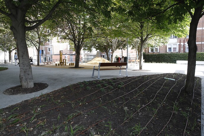 7.Detalle de la nueva plaza del valle de Oro de Carabanchel