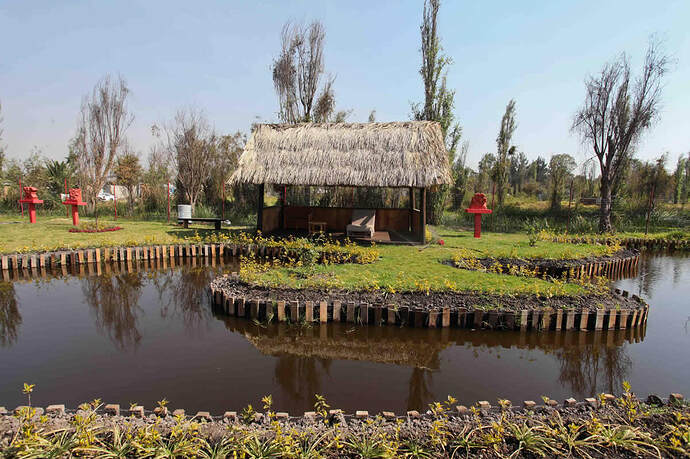 170103-toltenco-magico-en-xochimilco-cdmx-181