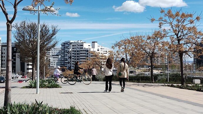 IMG_20230319_135316987