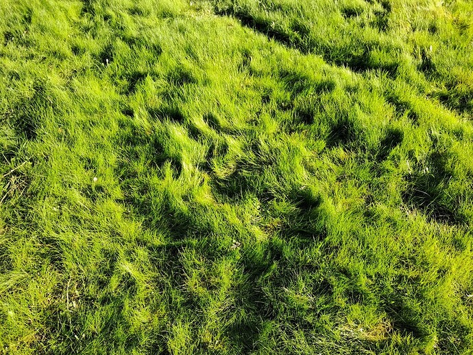 1000023880