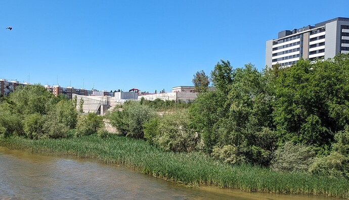 PXL_20240417_124040275