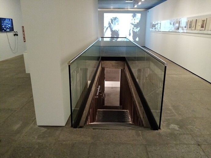 IMG_20230328_123654_Easy-Resize.com